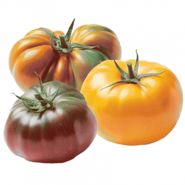 thumbnail image for Grocery
